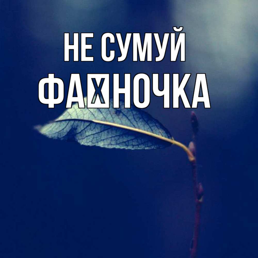 Открытка на каждый день з підписом, Фаїночка Не сумуй растение Прикольна листівка з побажанням онлайн скачати безкоштовно 