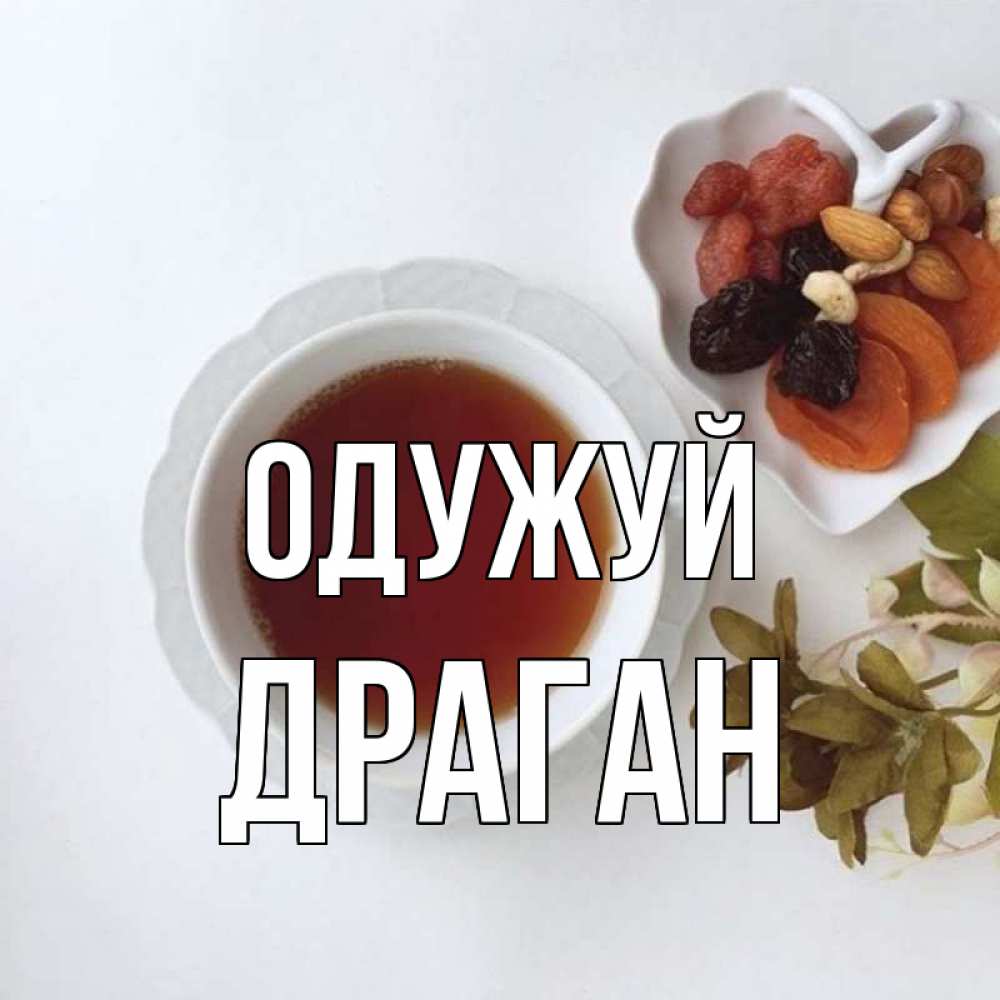 Открытка на каждый день з підписом, Драган Одужуй неизвестные растения Прикольна листівка з побажанням онлайн скачати безкоштовно 
