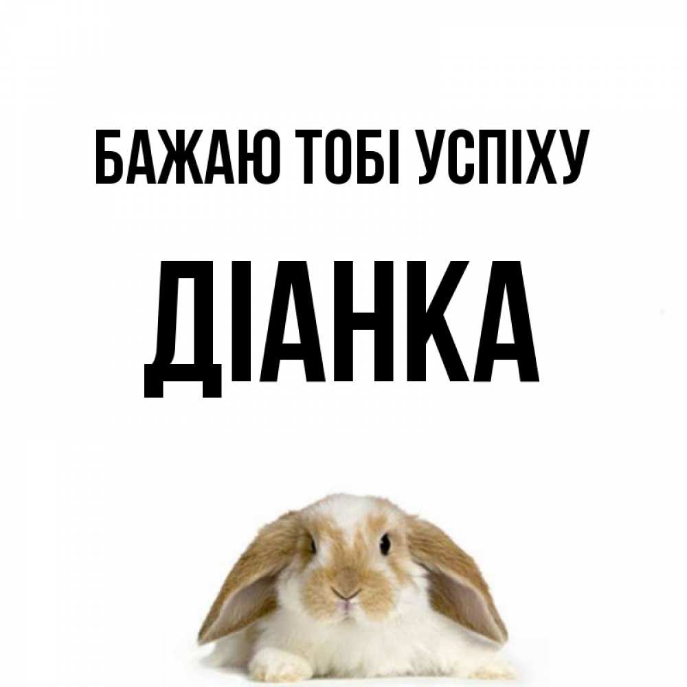 Открытка на каждый день з підписом, Діанка Бажаю тобі успіху открытки с произвольным текстом который можно вставить в открытку и создать ее самостоятельно бесплатно онлайн Прикольна листівка з побажанням онлайн скачати безкоштовно 