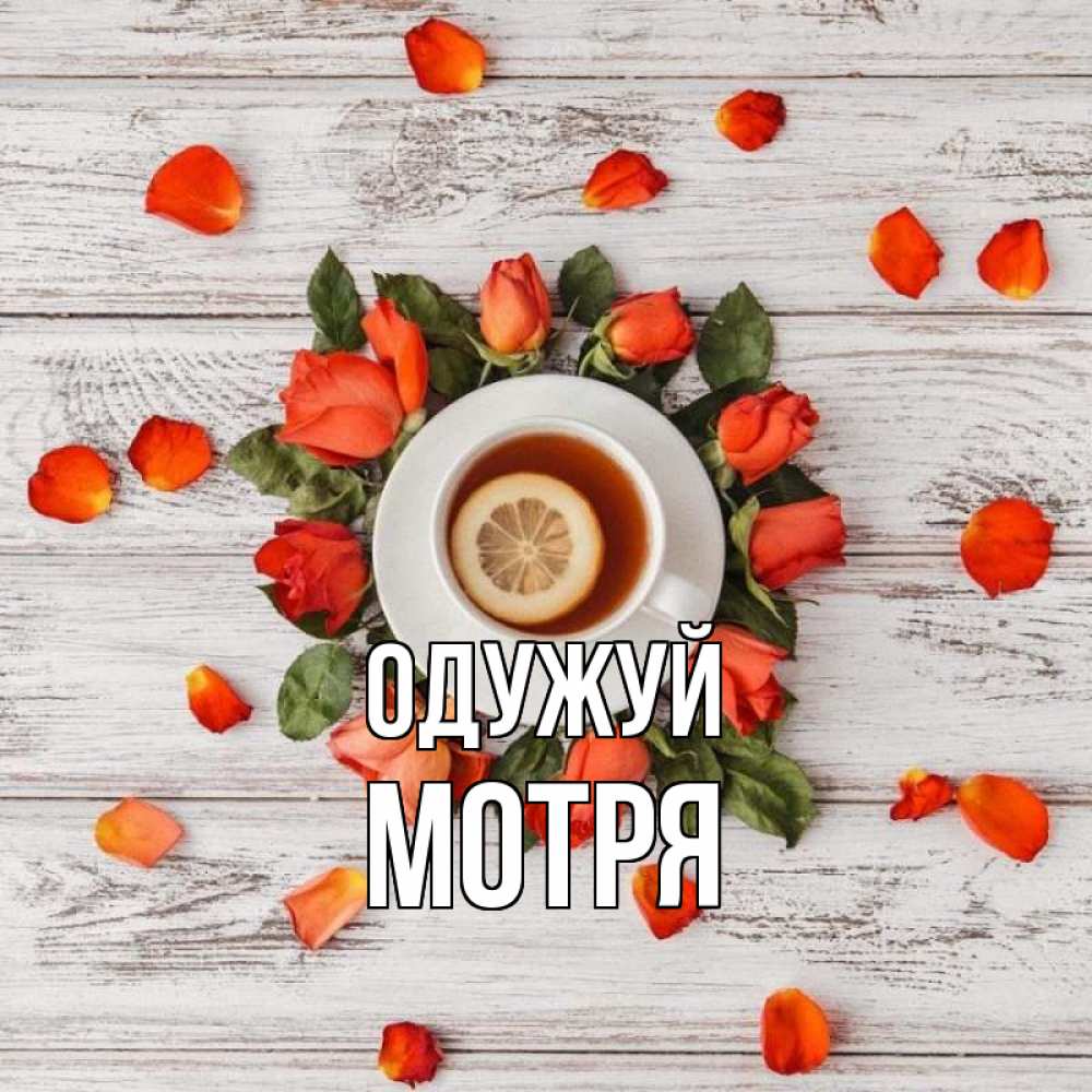 Открытка на каждый день з підписом, Мотря Одужуй фон из досок Прикольна листівка з побажанням онлайн скачати безкоштовно 