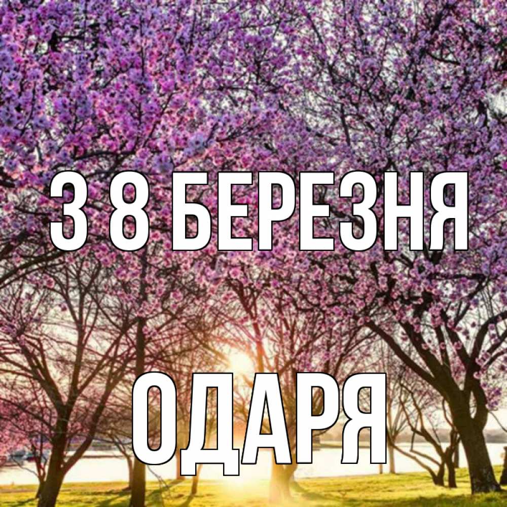 Открытка на каждый день з підписом, Одаря З 8 БЕРЕЗНЯ международный женский день Прикольна листівка з побажанням онлайн скачати безкоштовно 