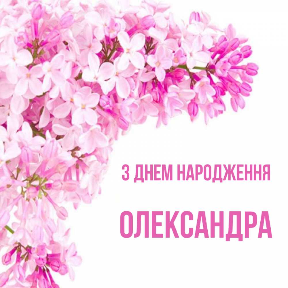 Открытка на каждый день з підписом, Олександра З Днем народження Сирень на белом фоне Прикольна листівка з побажанням онлайн скачати безкоштовно 