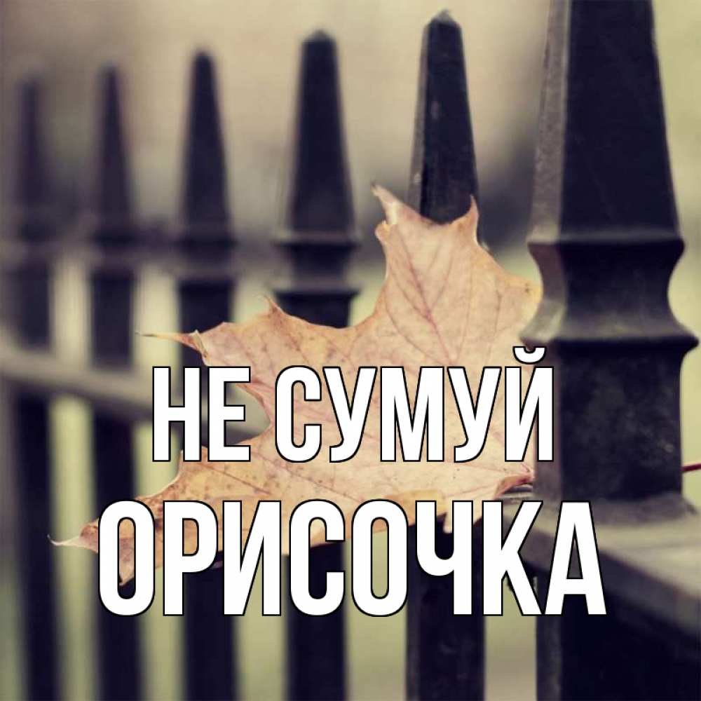 Открытка на каждый день з підписом, Орисочка Не сумуй лист клена Прикольна листівка з побажанням онлайн скачати безкоштовно 