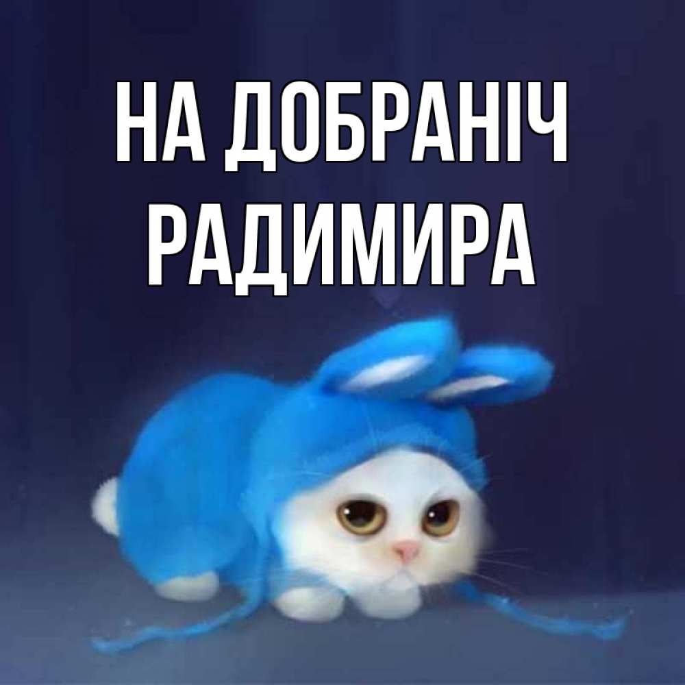 Открытка на каждый день з підписом, Радимира На добраніч кот в голубом костюме кролика с ушками Прикольна листівка з побажанням онлайн скачати безкоштовно 
