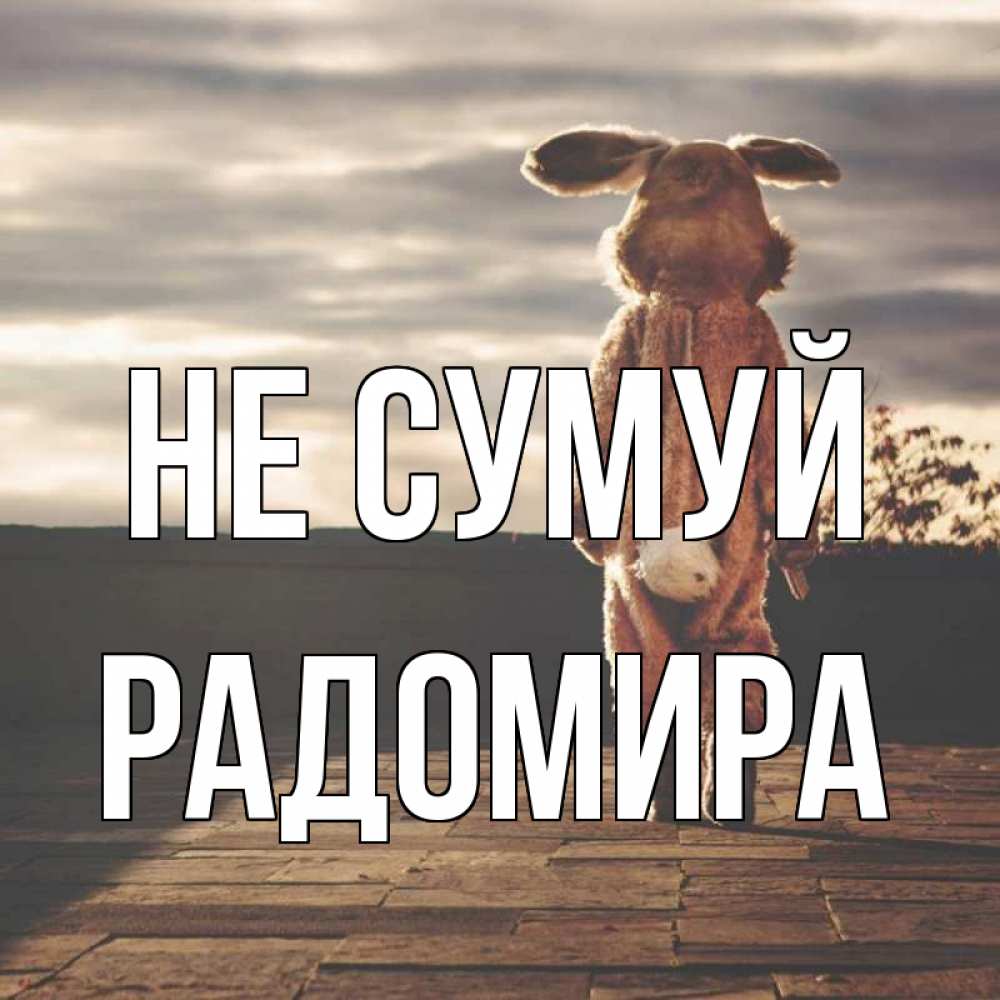 Открытка на каждый день з підписом, Радомира Не сумуй со спины Прикольна листівка з побажанням онлайн скачати безкоштовно 