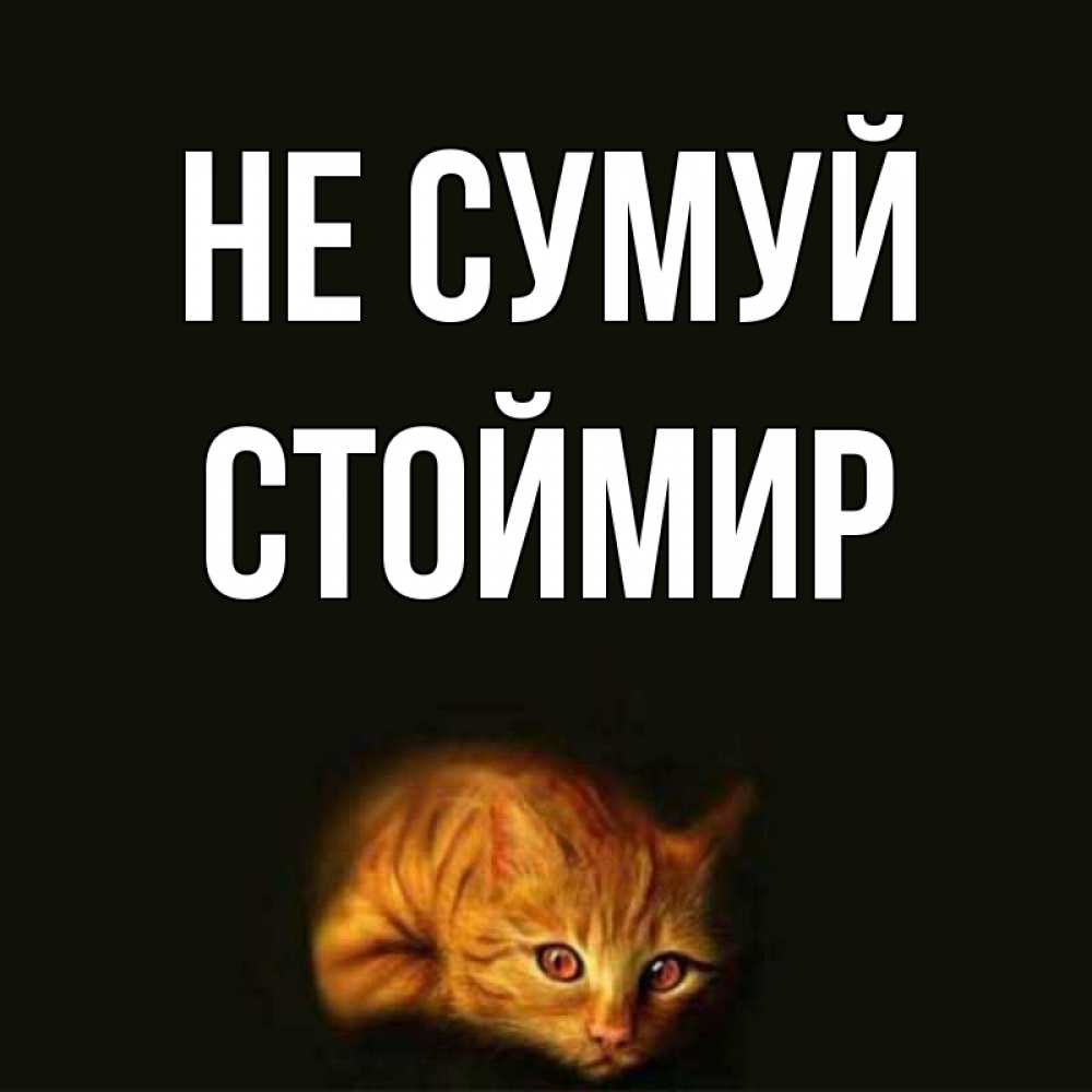 Открытка на каждый день з підписом, Стоймир Не сумуй лежащий кот в темноте Прикольна листівка з побажанням онлайн скачати безкоштовно 