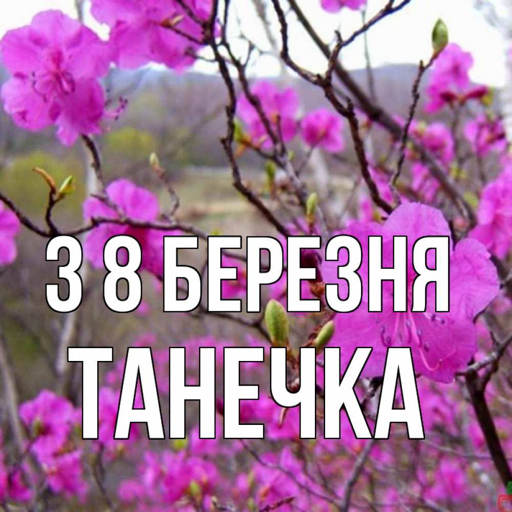 Открытка на каждый день з підписом, Танечка З 8 БЕРЕЗНЯ международный женский день Прикольна листівка з побажанням онлайн скачати безкоштовно 