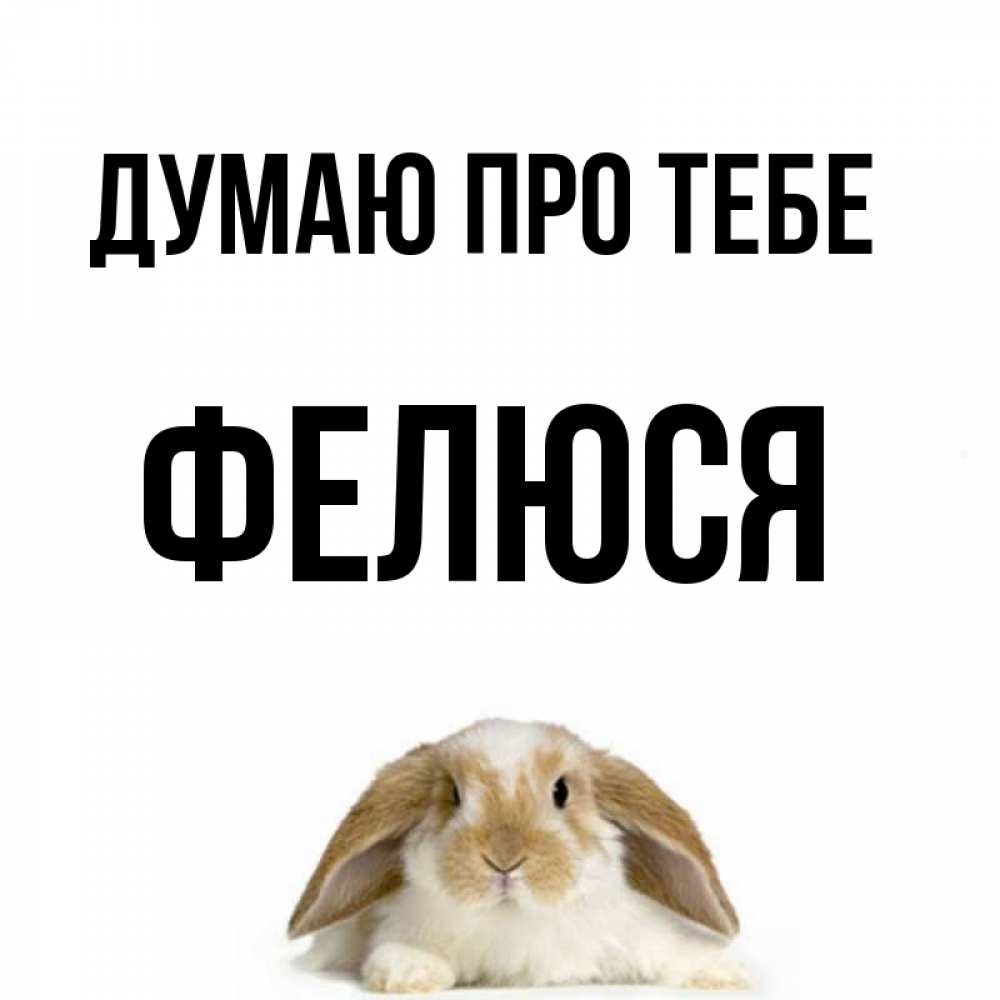 Открытка на каждый день з підписом, Фелюся Думаю про тебе подписать своими руками онлайн Прикольна листівка з побажанням онлайн скачати безкоштовно 