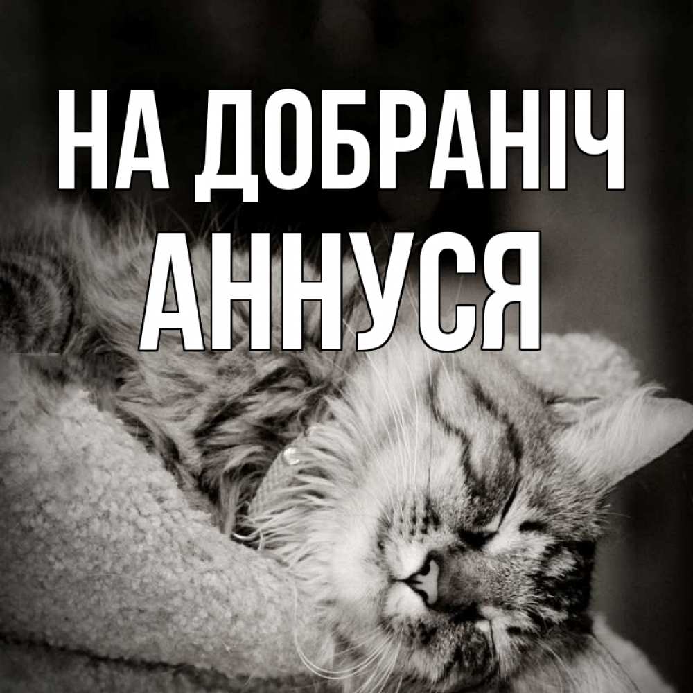 Открытка на каждый день з підписом, Аннуся На добраніч котярик пушистый Прикольна листівка з побажанням онлайн скачати безкоштовно 