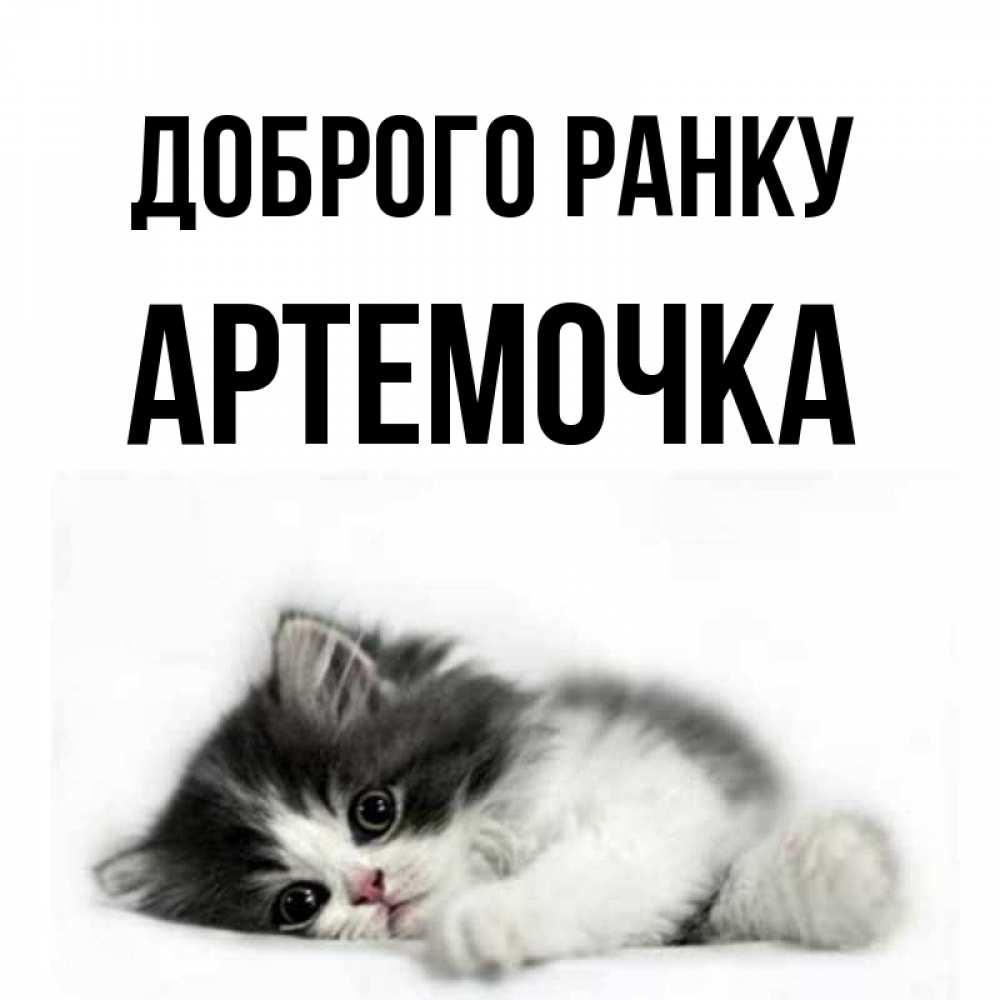 Открытка на каждый день з підписом, Артемочка Доброго ранку кот лапки Прикольна листівка з побажанням онлайн скачати безкоштовно 