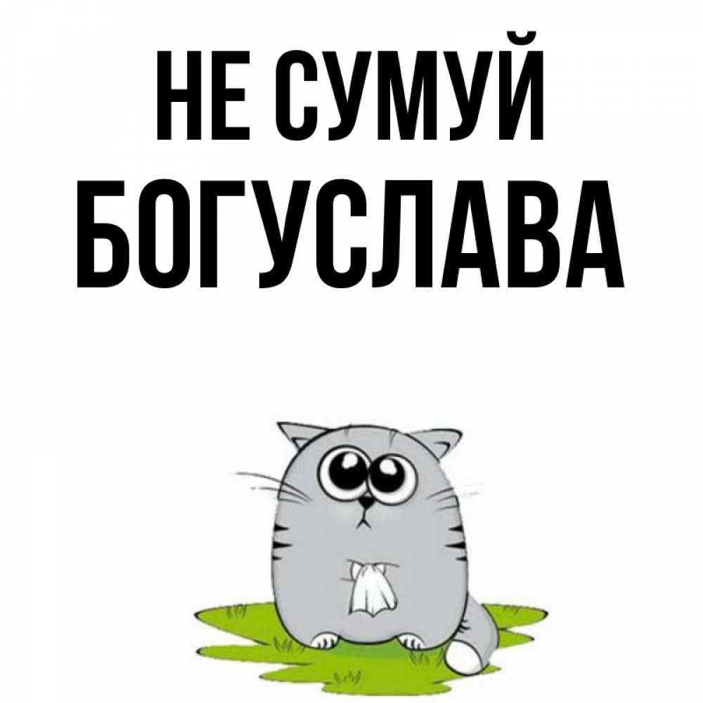 Открытка на каждый день з підписом, Богуслава Не сумуй грустный котяра Прикольна листівка з побажанням онлайн скачати безкоштовно 