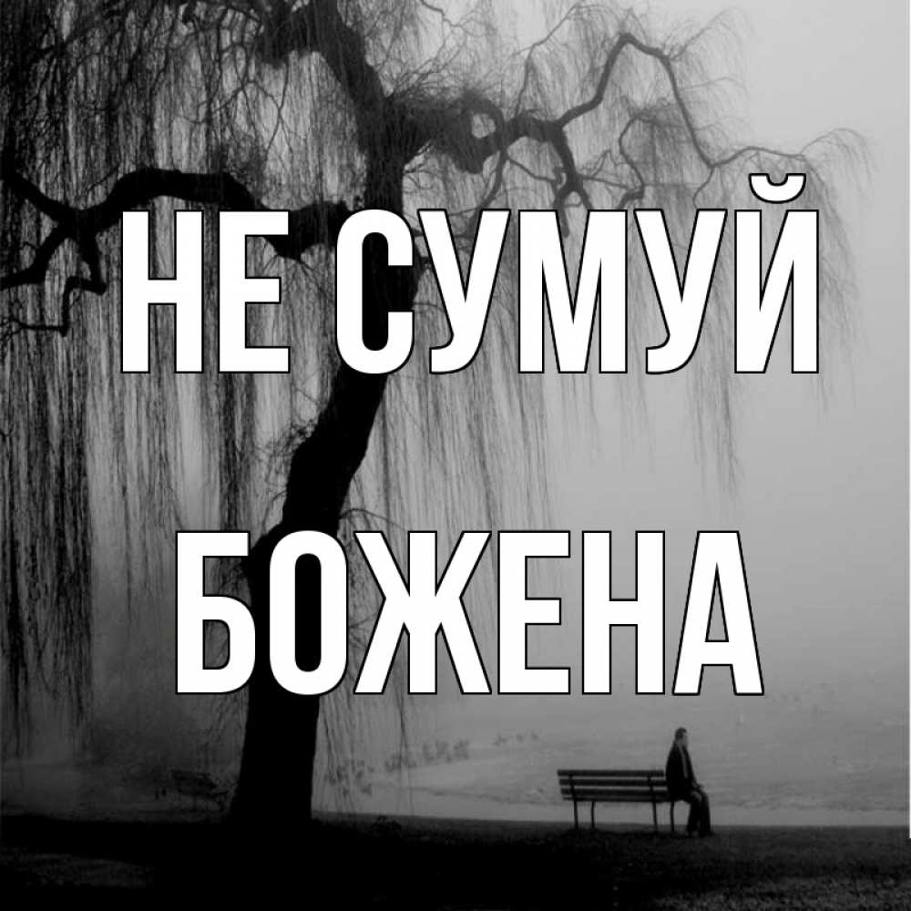 Открытка на каждый день з підписом, Божена Не сумуй висящие ветки дерева и лавочка под деревом Прикольна листівка з побажанням онлайн скачати безкоштовно 