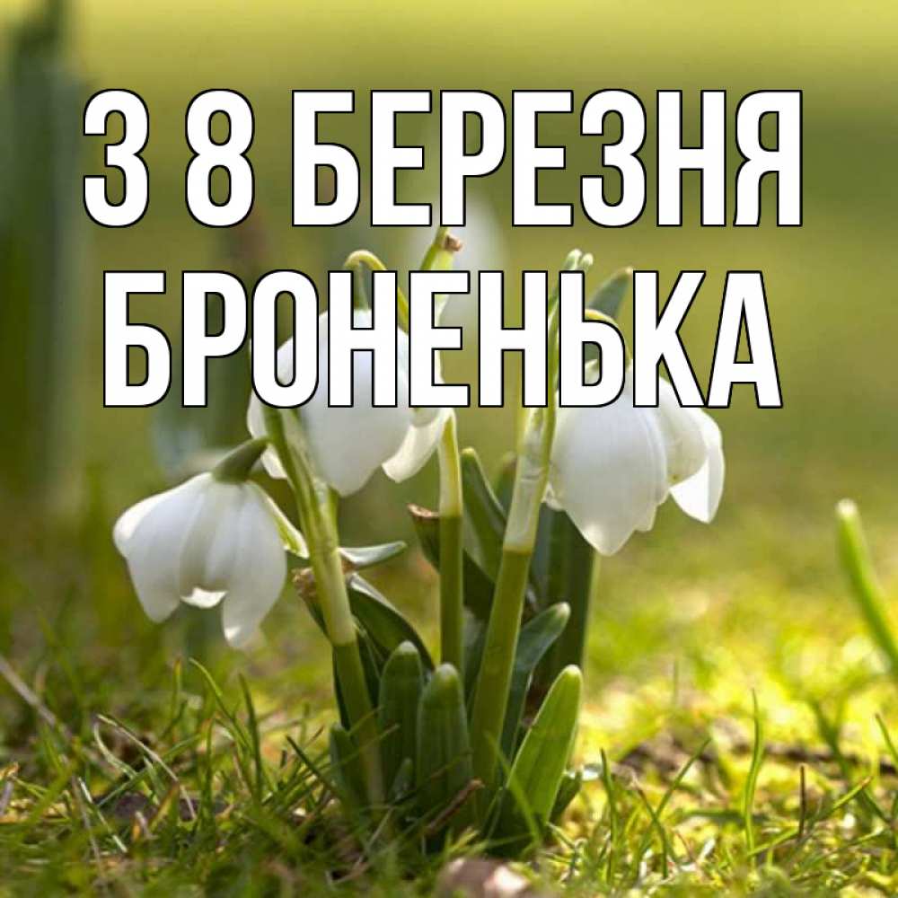 Открытка на каждый день з підписом, Броненька З 8 БЕРЕЗНЯ ранние цветы 2 Прикольна листівка з побажанням онлайн скачати безкоштовно 