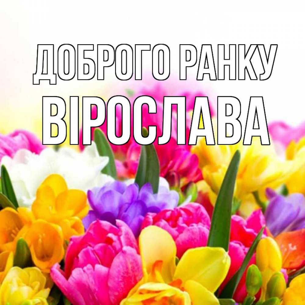 Открытка на каждый день з підписом, Вірослава Доброго ранку создать открытку со свое подписью Прикольна листівка з побажанням онлайн скачати безкоштовно 