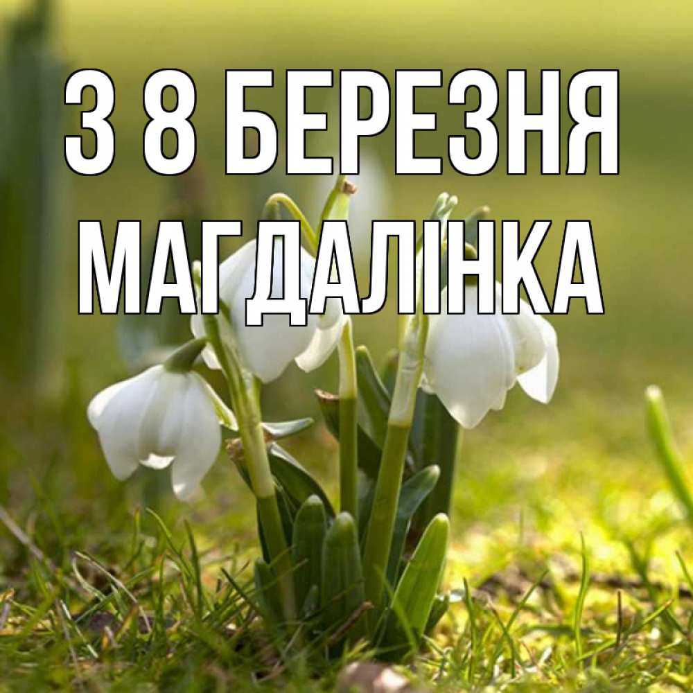 Открытка на каждый день з підписом, Магдалінка З 8 БЕРЕЗНЯ ранние цветы 2 Прикольна листівка з побажанням онлайн скачати безкоштовно 