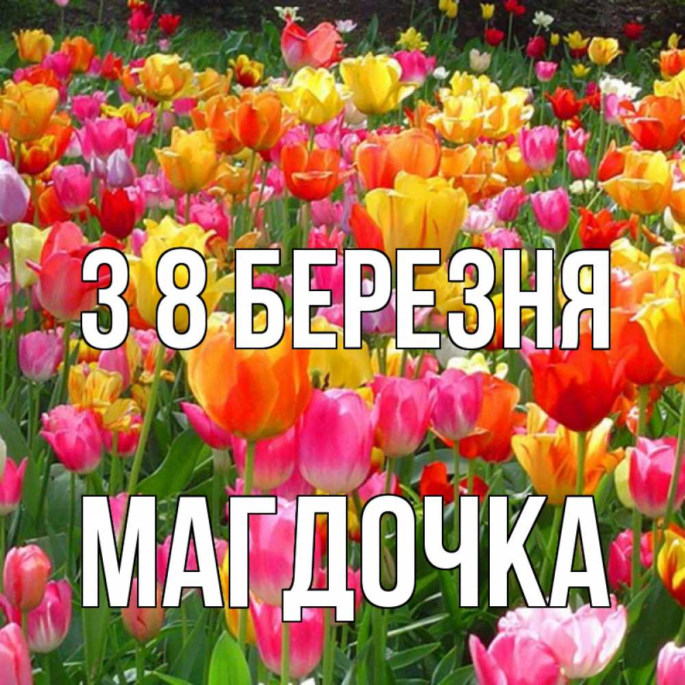Открытка на каждый день з підписом, Магдочка З 8 БЕРЕЗНЯ на международный женский день Прикольна листівка з побажанням онлайн скачати безкоштовно 