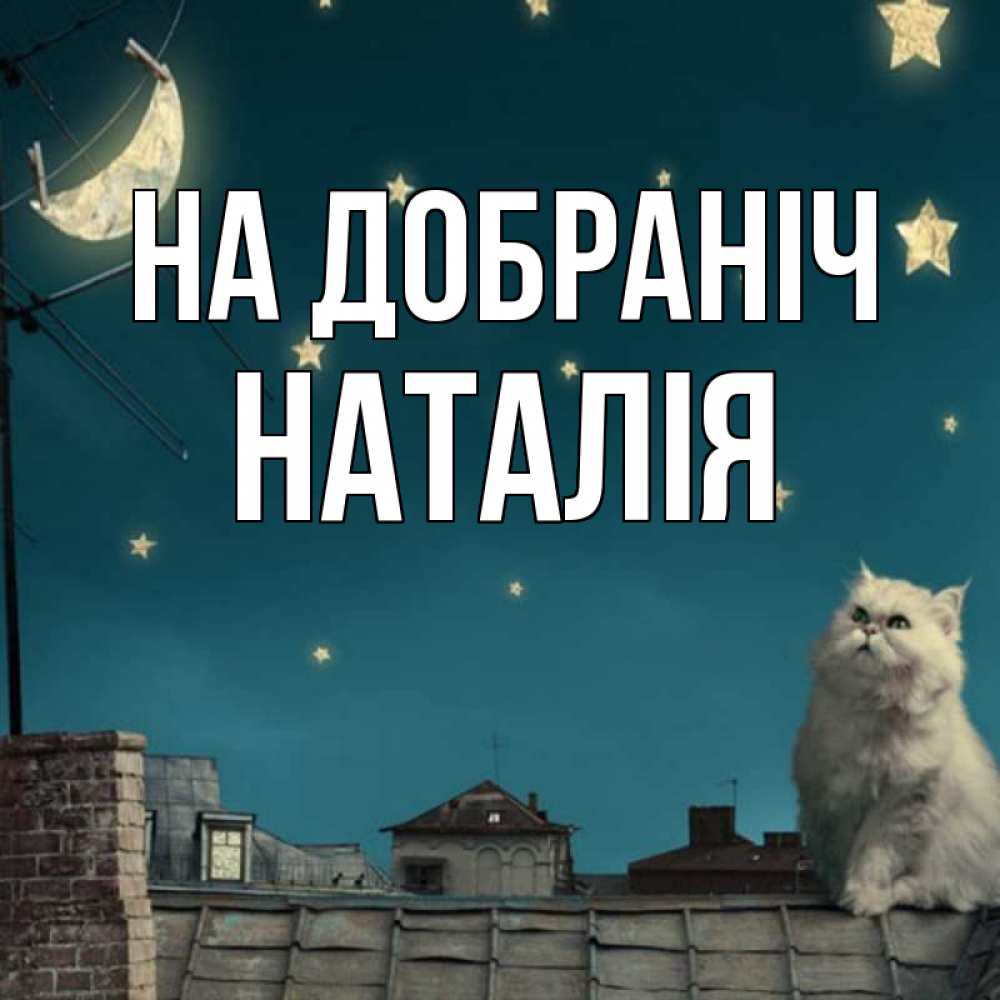 Открытка на каждый день з підписом, Наталія На добраніч белый кот сидит на крыше Прикольна листівка з побажанням онлайн скачати безкоштовно 