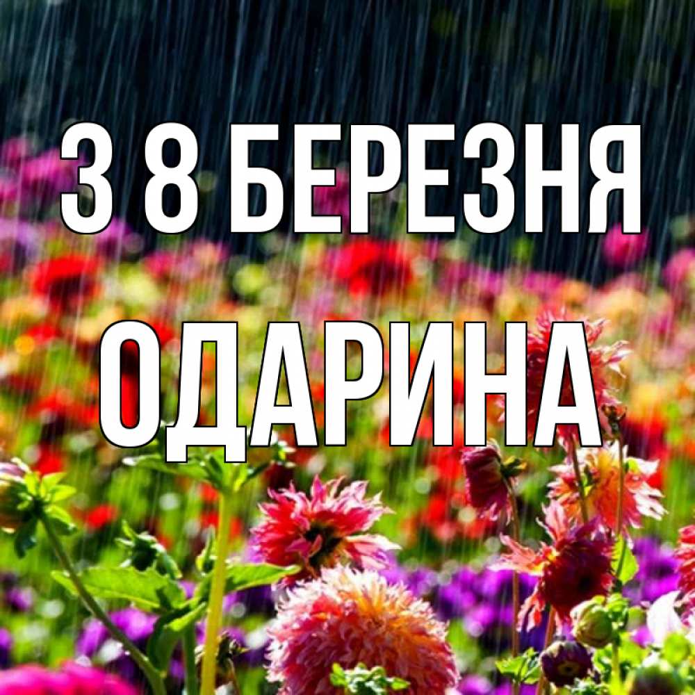 Открытка на каждый день з підписом, Одарина З 8 БЕРЕЗНЯ цветы под дождиком к международному женскому дню Прикольна листівка з побажанням онлайн скачати безкоштовно 