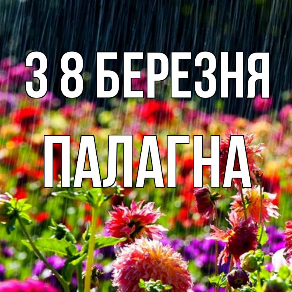 Открытка на каждый день з підписом, Палагна З 8 БЕРЕЗНЯ цветы под дождиком к международному женскому дню Прикольна листівка з побажанням онлайн скачати безкоштовно 