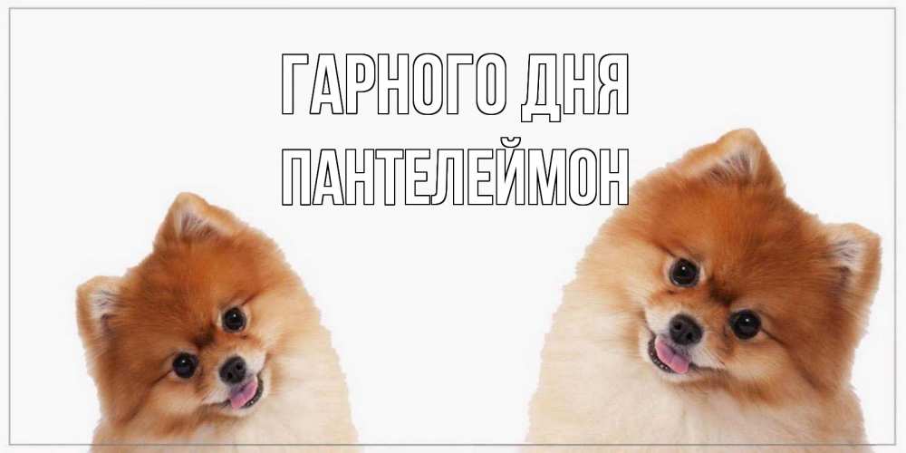 Открытка на каждый день з підписом, Пантелеймон Гарного дня собачки желают прекрасного дня Прикольна листівка з побажанням онлайн скачати безкоштовно 