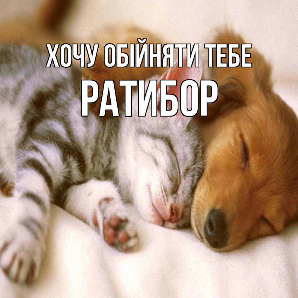 Открытка на каждый день з підписом, Ратибор Хочу обійняти тебе пес и котенок Прикольна листівка з побажанням онлайн скачати безкоштовно 