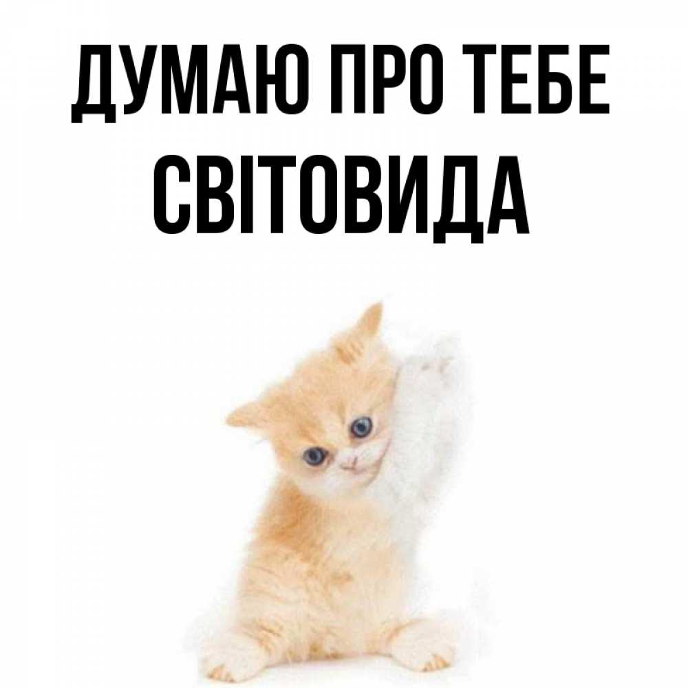 Открытка на каждый день з підписом, Світовида Думаю про тебе зверушки и милота Прикольна листівка з побажанням онлайн скачати безкоштовно 
