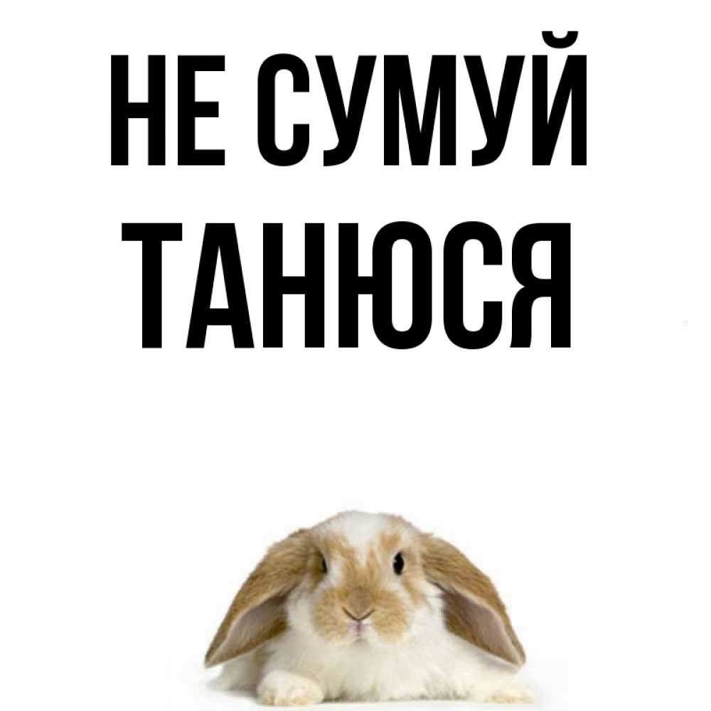 Открытка на каждый день з підписом, Танюся Не сумуй коричнево белый заяц с большими ушками Прикольна листівка з побажанням онлайн скачати безкоштовно 