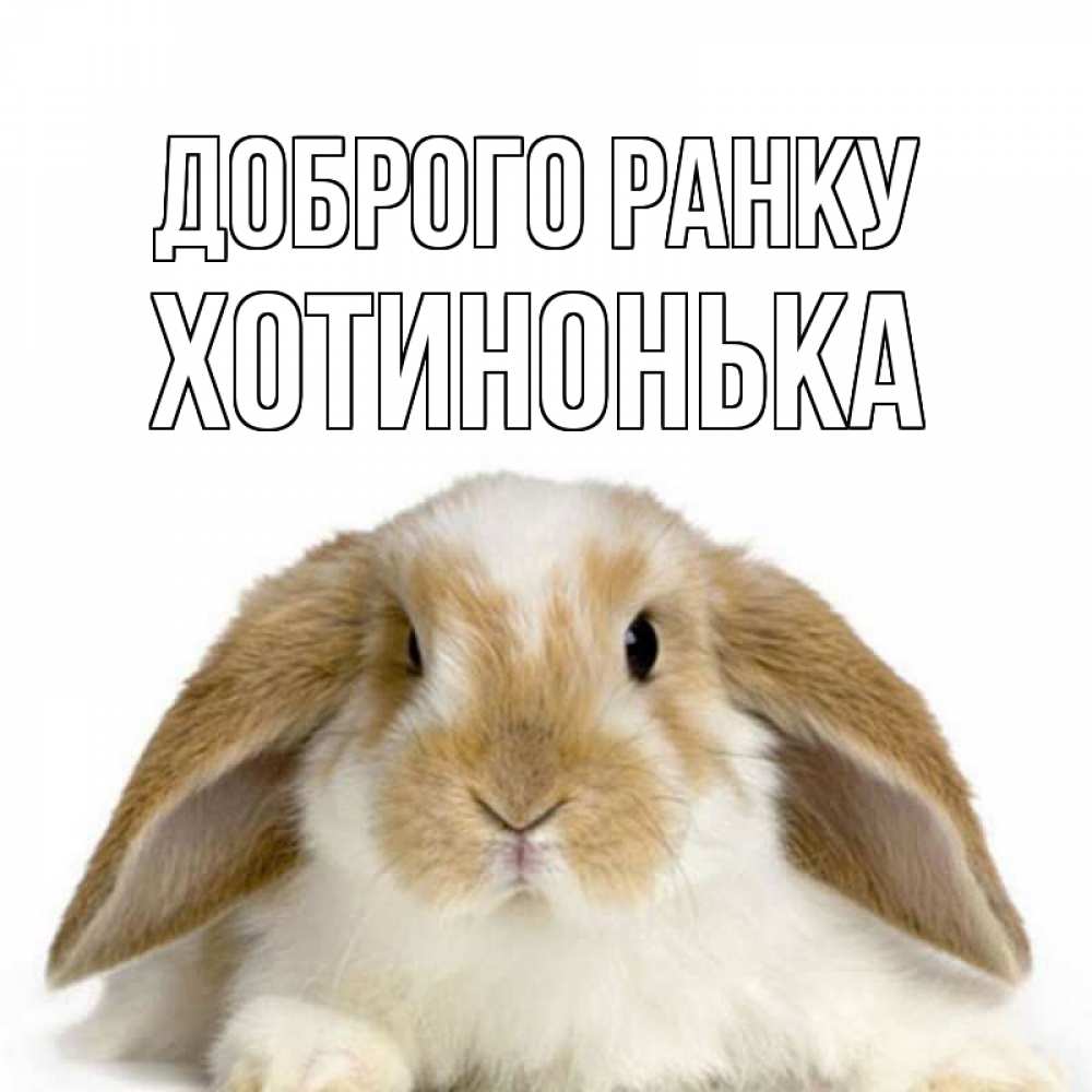 Открытка на каждый день з підписом, Хотинонька Доброго ранку прикольные открытки на каждый день Прикольна листівка з побажанням онлайн скачати безкоштовно 