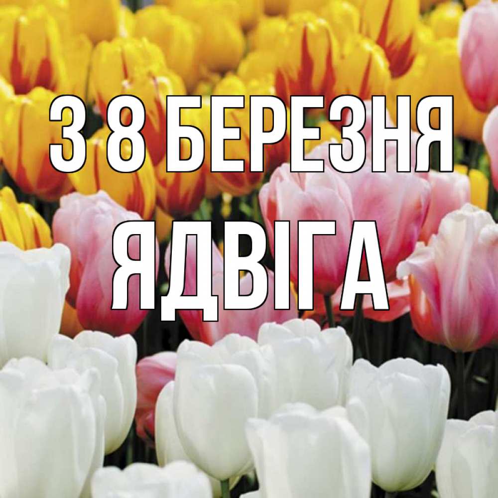 Открытка на каждый день з підписом, Ядвіга З 8 БЕРЕЗНЯ разноцветные цветы Прикольна листівка з побажанням онлайн скачати безкоштовно 