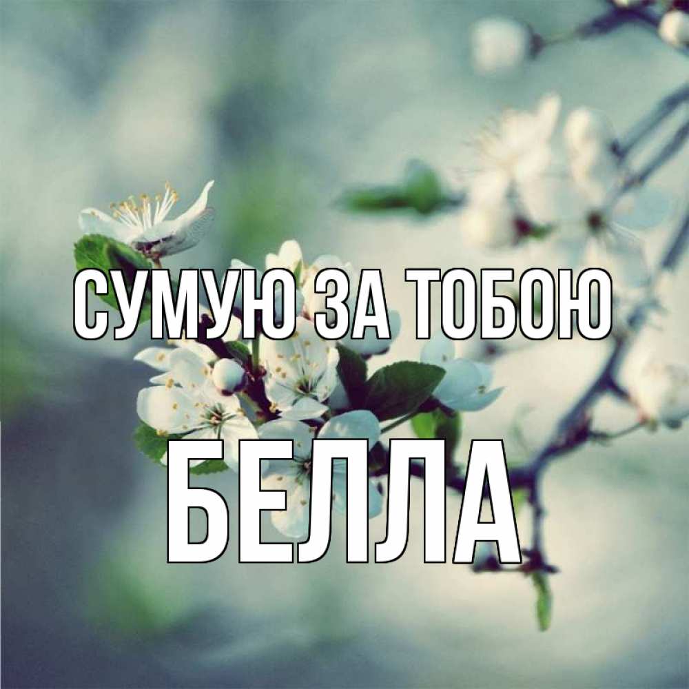 Открытка на каждый день з підписом, Белла Сумую за тобою весна Прикольна листівка з побажанням онлайн скачати безкоштовно 