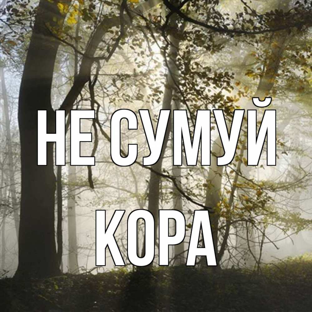 Открытка на каждый день з підписом, Кора Не сумуй лес и свет Прикольна листівка з побажанням онлайн скачати безкоштовно 
