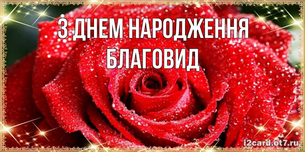 Открытка на каждый день з підписом, Благовид З Днем народження роса и роза. открытка с красивой розой Прикольна листівка з побажанням онлайн скачати безкоштовно 