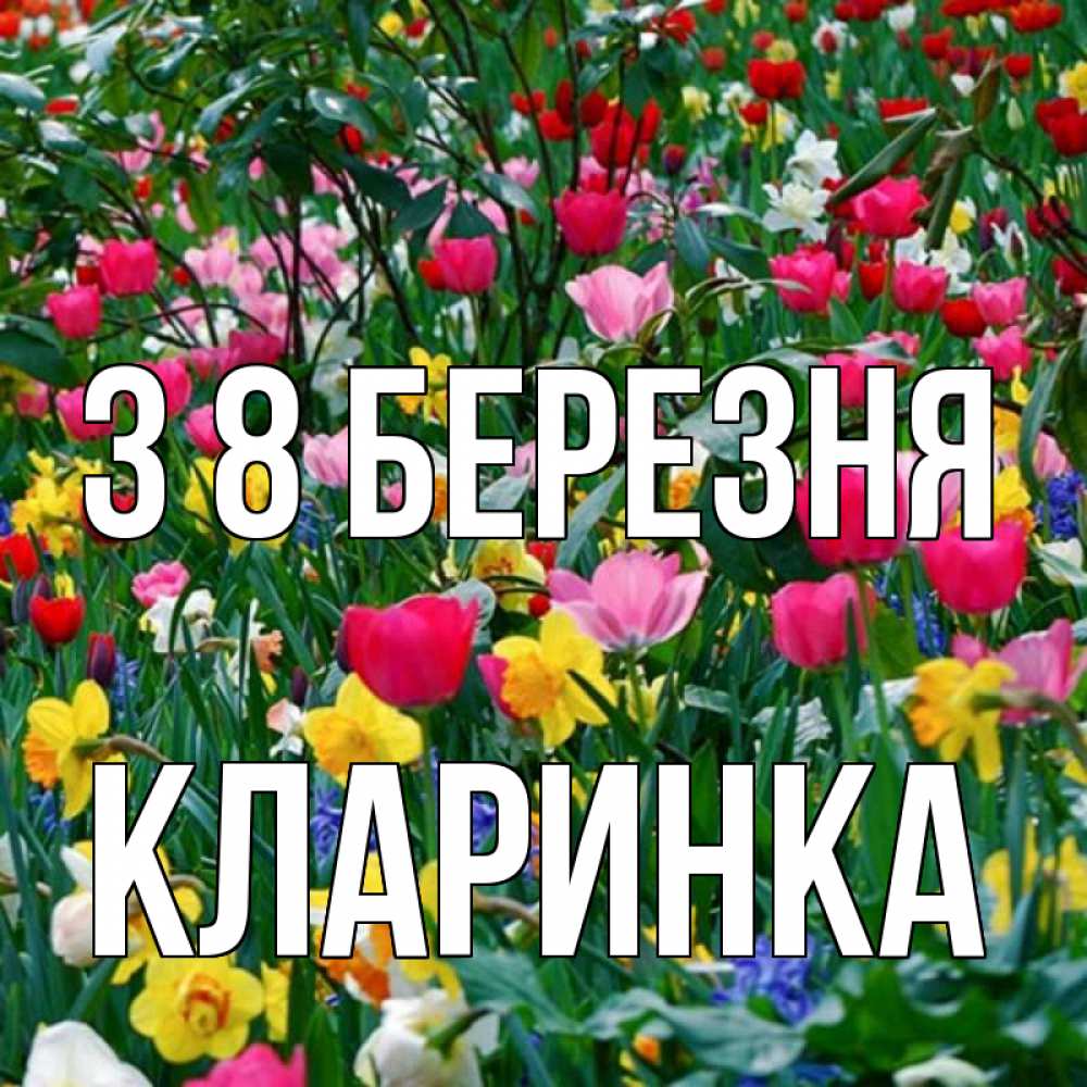 Открытка на каждый день з підписом, Кларинка З 8 БЕРЕЗНЯ с международным женским днем поздравления для женщины Прикольна листівка з побажанням онлайн скачати безкоштовно 
