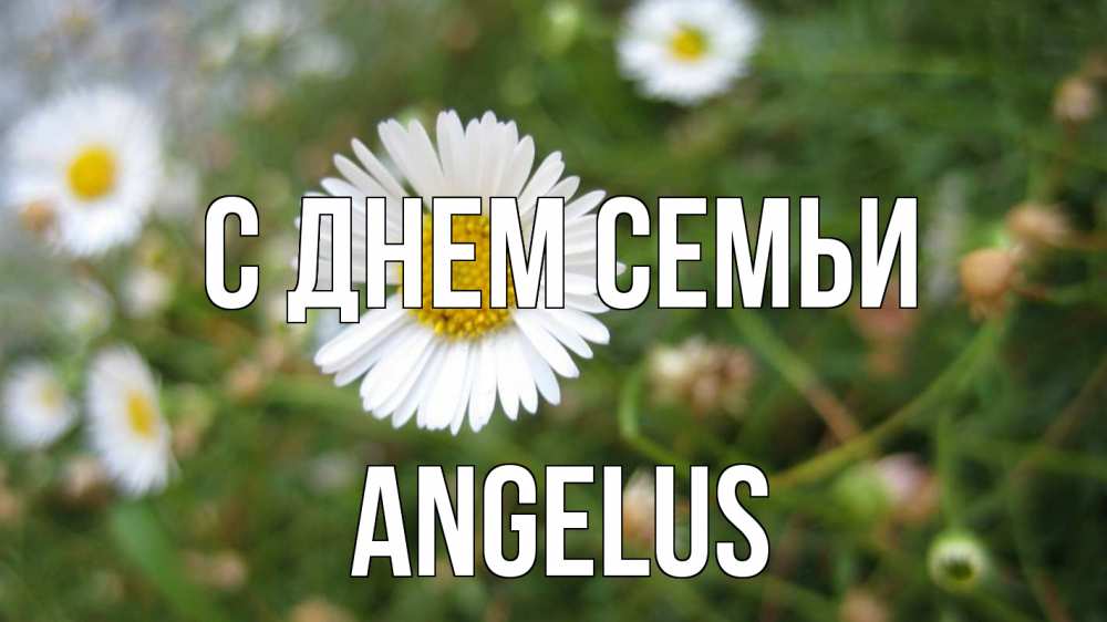 Открытка на каждый день з підписом, Angelus С днем семьи с днем семьи Прикольна листівка з побажанням онлайн скачати безкоштовно 