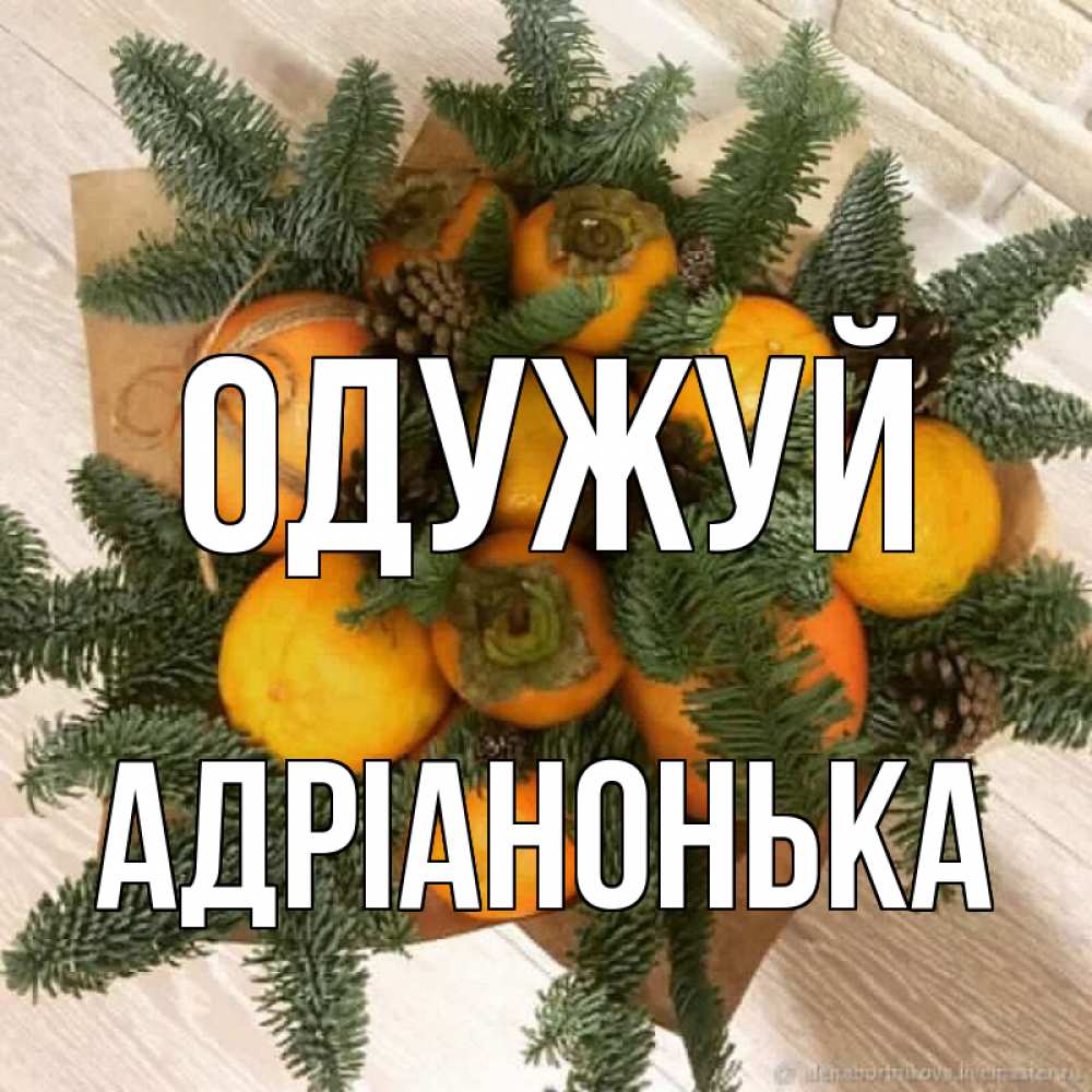 Открытка на каждый день з підписом, Адріанонька Одужуй апельсины и хурьма Прикольна листівка з побажанням онлайн скачати безкоштовно 