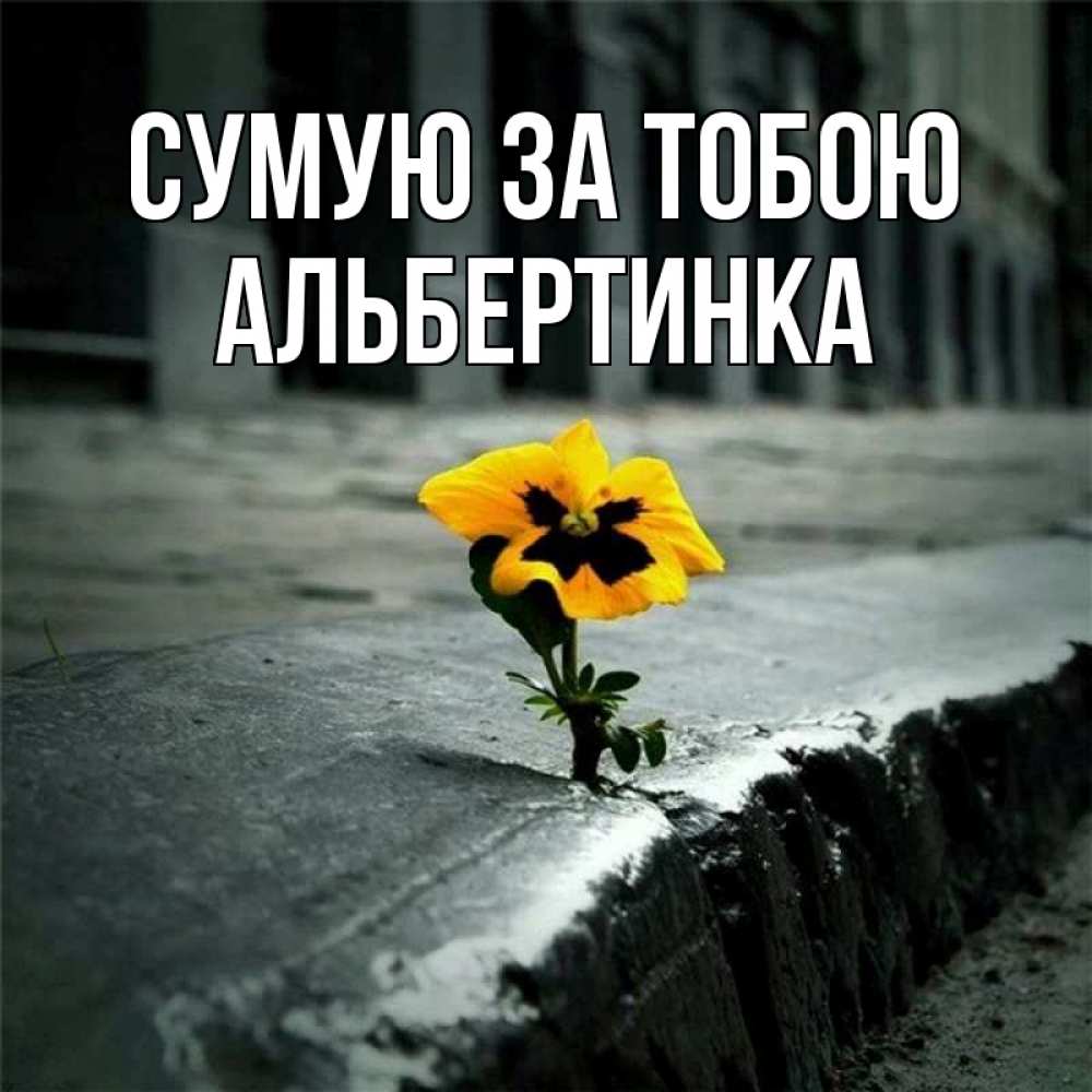 Открытка на каждый день з підписом, Альбертинка Сумую за тобою надеюсь будет лучше Прикольна листівка з побажанням онлайн скачати безкоштовно 