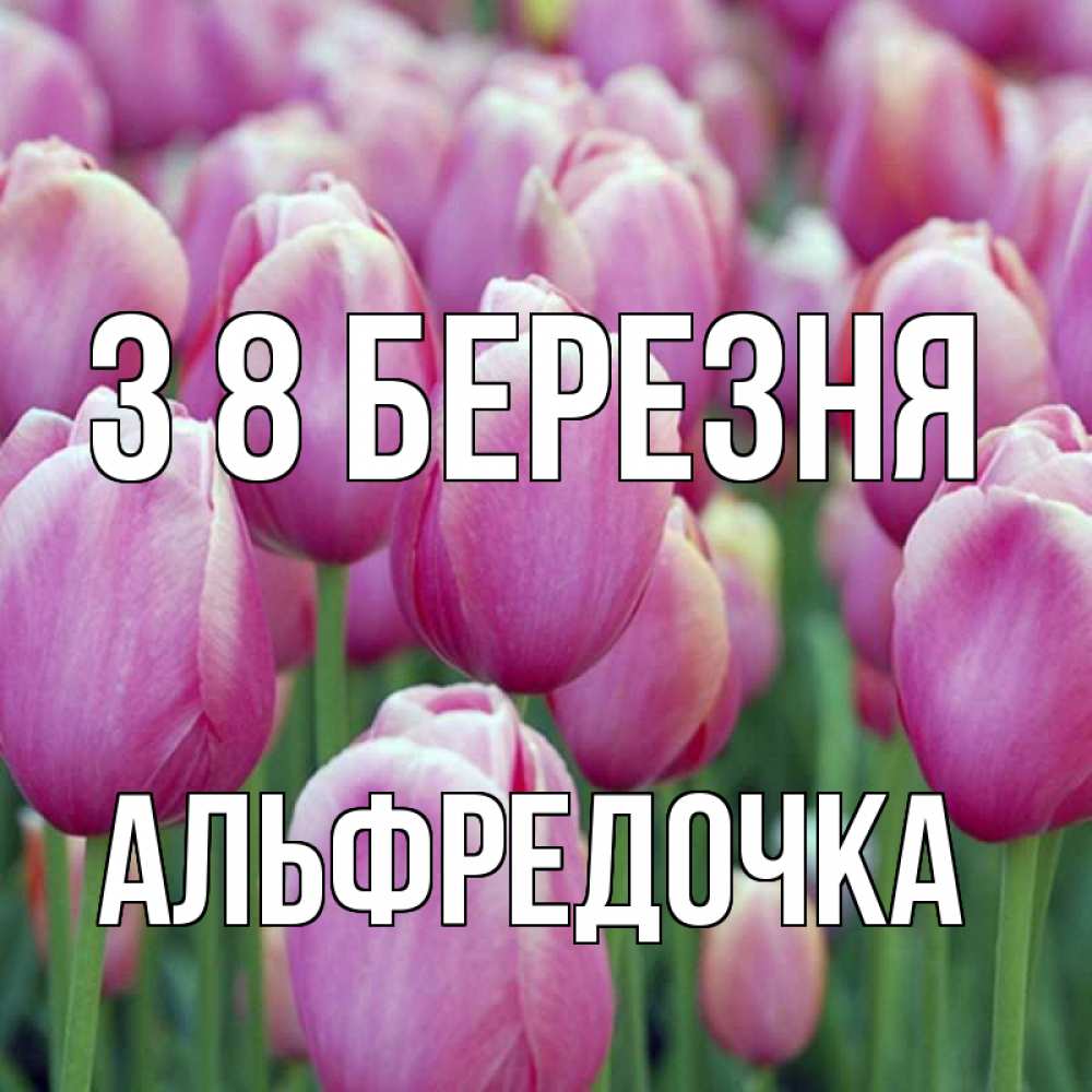 Открытка на каждый день з підписом, Альфредочка З 8 БЕРЕЗНЯ на международный женский день 3 Прикольна листівка з побажанням онлайн скачати безкоштовно 