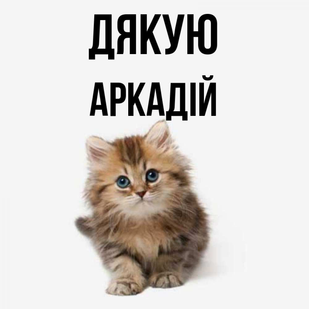 Открытка на каждый день з підписом, Аркадій Дякую пушистый котик Прикольна листівка з побажанням онлайн скачати безкоштовно 