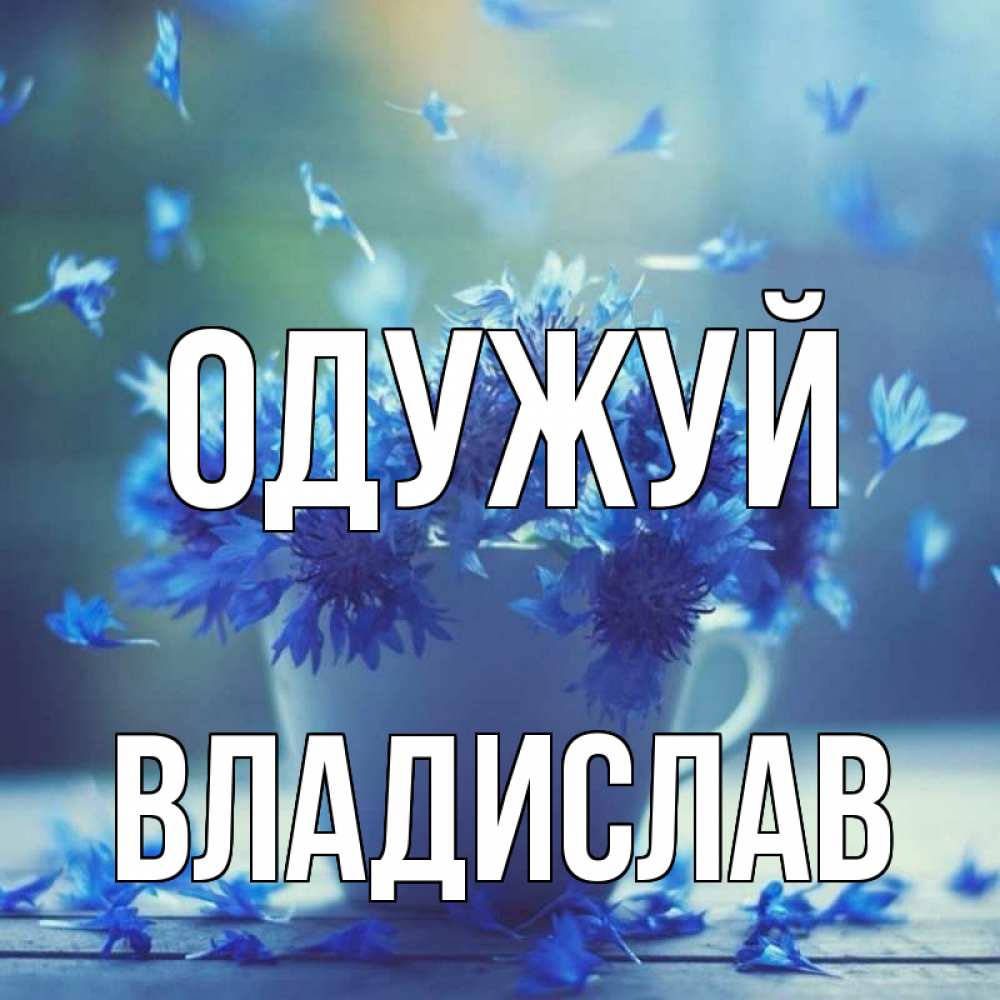 Открытка на каждый день з підписом, Владислав Одужуй кружка с зельем и цветами Прикольна листівка з побажанням онлайн скачати безкоштовно 