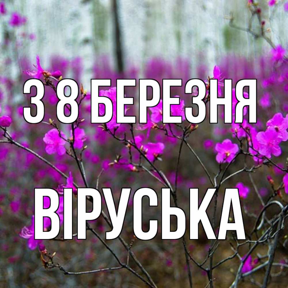 Открытка на каждый день з підписом, Віруська З 8 БЕРЕЗНЯ дикие цветы Прикольна листівка з побажанням онлайн скачати безкоштовно 