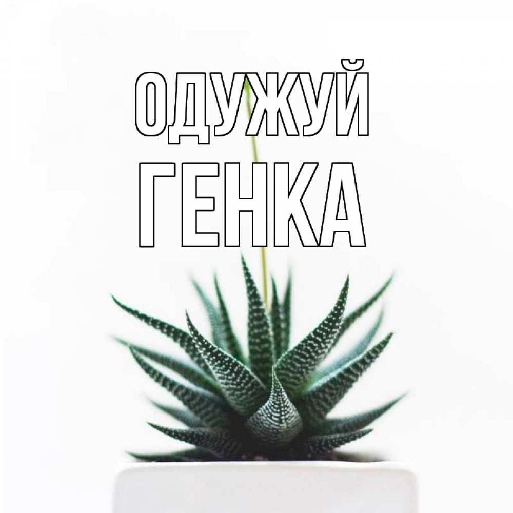 Открытка на каждый день з підписом, Генка Одужуй короче это непонятная колючка Прикольна листівка з побажанням онлайн скачати безкоштовно 