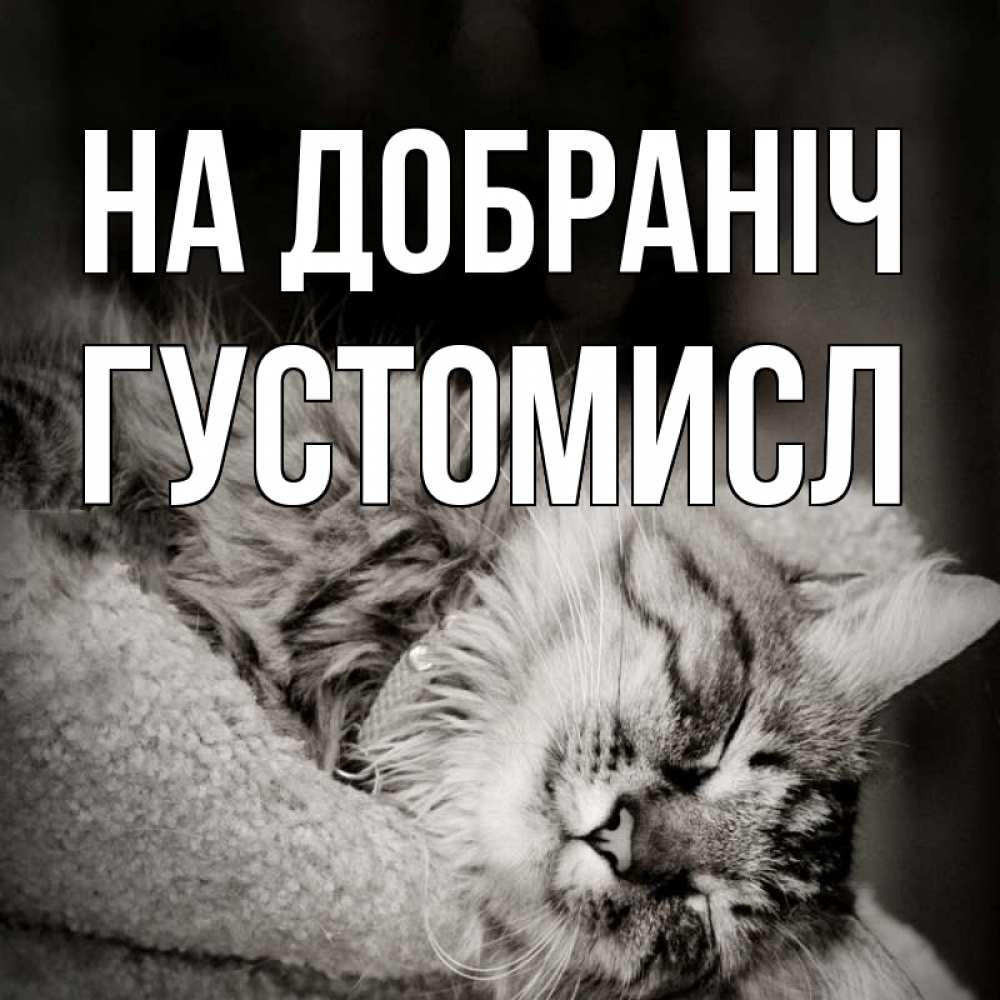Открытка на каждый день з підписом, Густомисл На добраніч котярик пушистый Прикольна листівка з побажанням онлайн скачати безкоштовно 