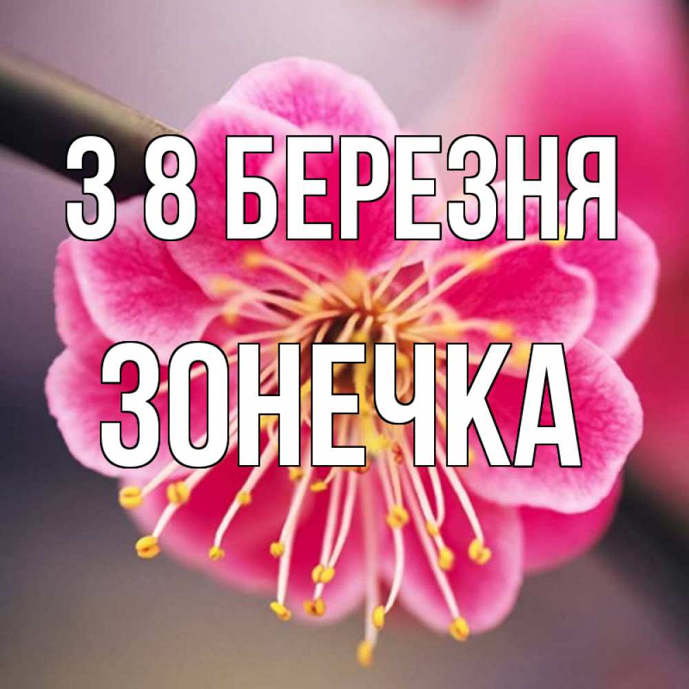 Открытка на каждый день з підписом, Зонечка З 8 БЕРЕЗНЯ цветы Прикольна листівка з побажанням онлайн скачати безкоштовно 
