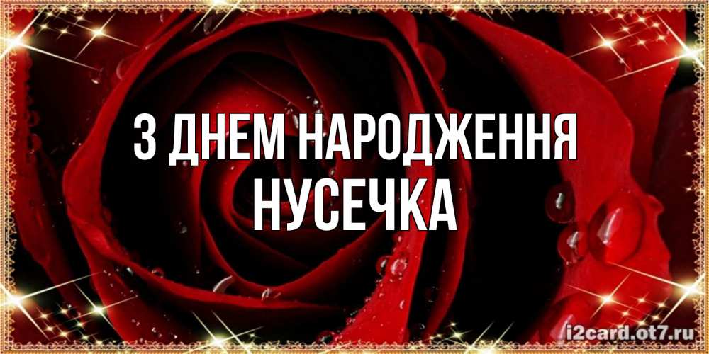 Открытка на каждый день з підписом, Нусечка З Днем народження цветок в росе на день рождения Прикольна листівка з побажанням онлайн скачати безкоштовно 