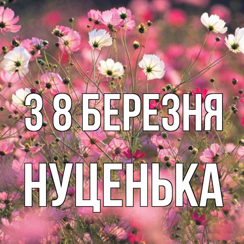 Открытка на каждый день з підписом, Нуценька З 8 БЕРЕЗНЯ красиво 1 Прикольна листівка з побажанням онлайн скачати безкоштовно 