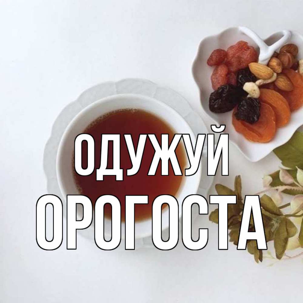 Открытка на каждый день з підписом, Орогоста Одужуй неизвестные растения Прикольна листівка з побажанням онлайн скачати безкоштовно 