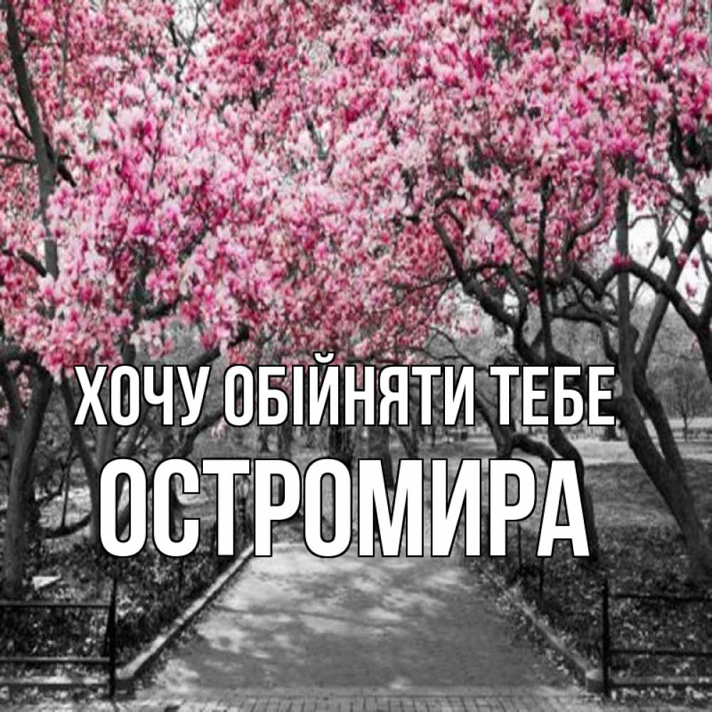 Открытка на каждый день з підписом, Остромира Хочу обійняти тебе обработанное фото Прикольна листівка з побажанням онлайн скачати безкоштовно 