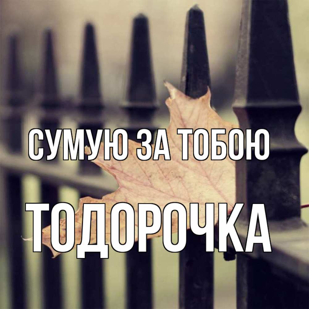 Открытка на каждый день з підписом, Тодорочка Сумую за тобою очень скучно Прикольна листівка з побажанням онлайн скачати безкоштовно 