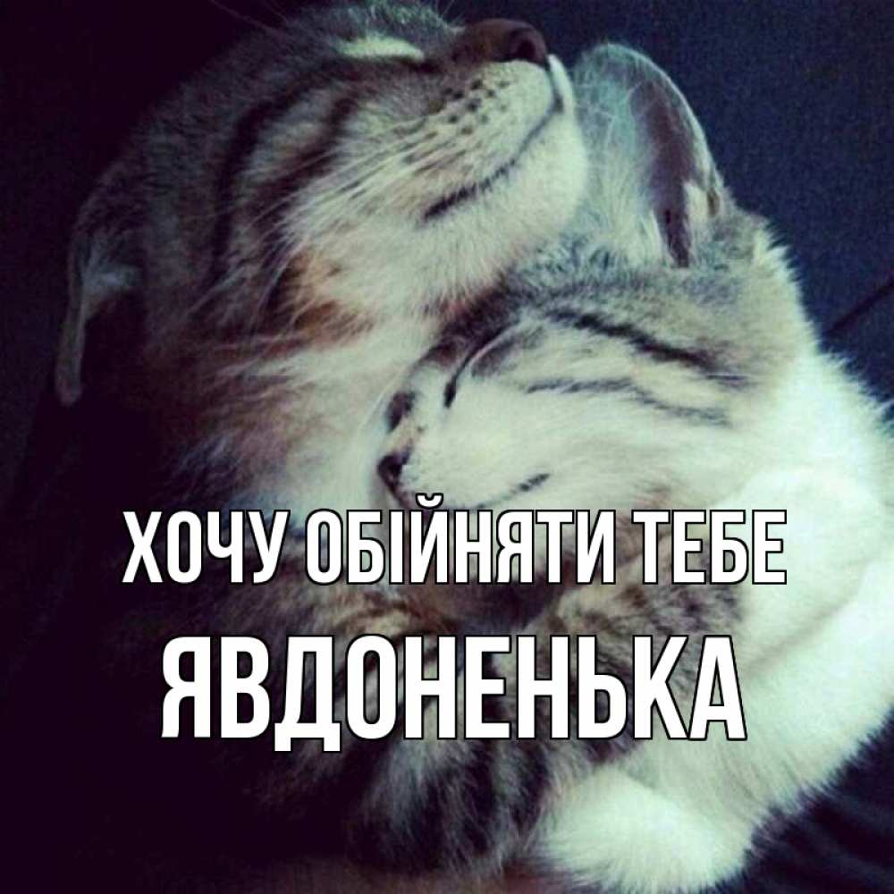 Открытка на каждый день з підписом, Явдоненька Хочу обійняти тебе полосатики Прикольна листівка з побажанням онлайн скачати безкоштовно 