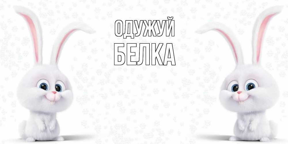 Открытка на каждый день з підписом, Белка Одужуй не болей с зайцем Прикольна листівка з побажанням онлайн скачати безкоштовно 